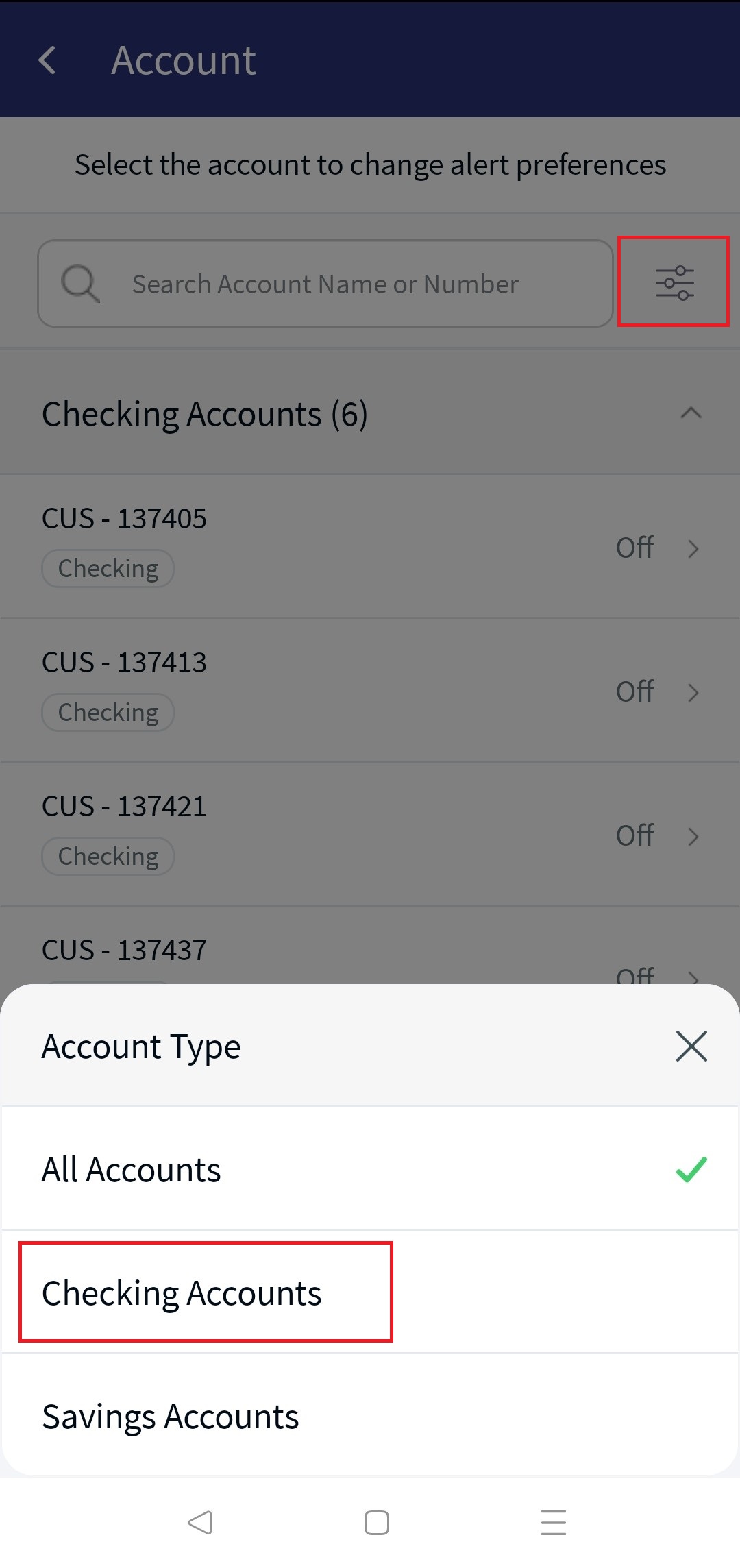 Filter Options