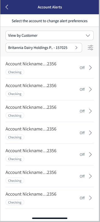 Multi Customer more than 10 accounts