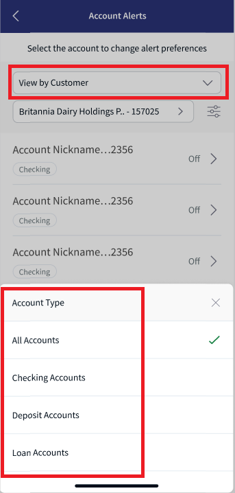 View By Customer - Filter options