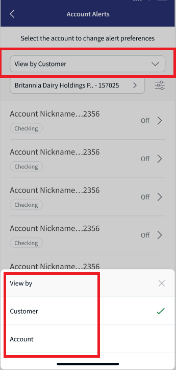 Filter Options